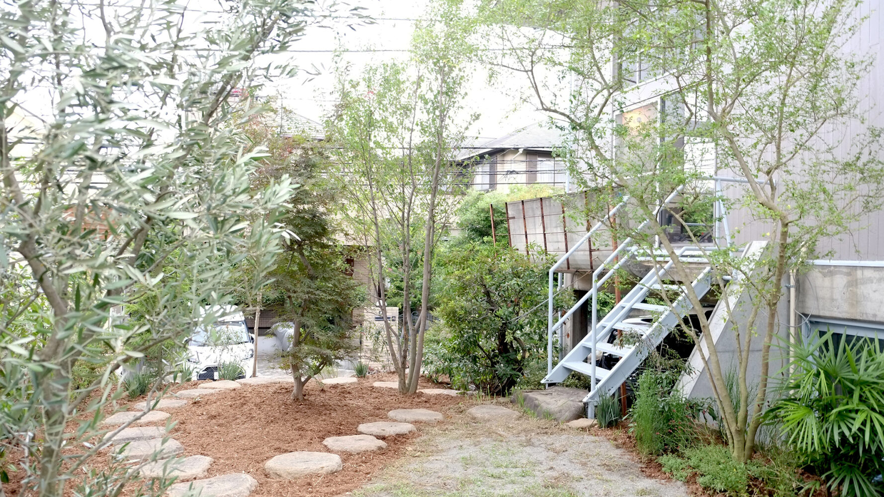 津田山の家 事例画像3