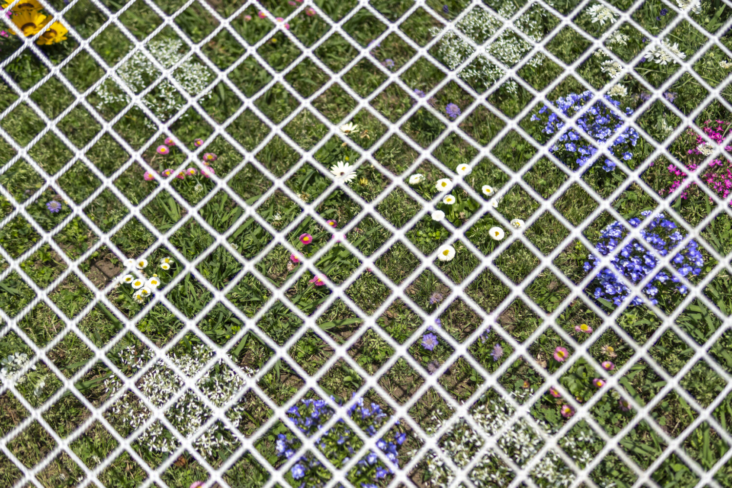 Playground Becomes Dark Slowly 事例画像6