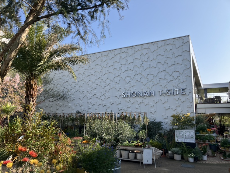 本日 「SOLSO FARM MARKET」NEW OPEN! イメージ画像