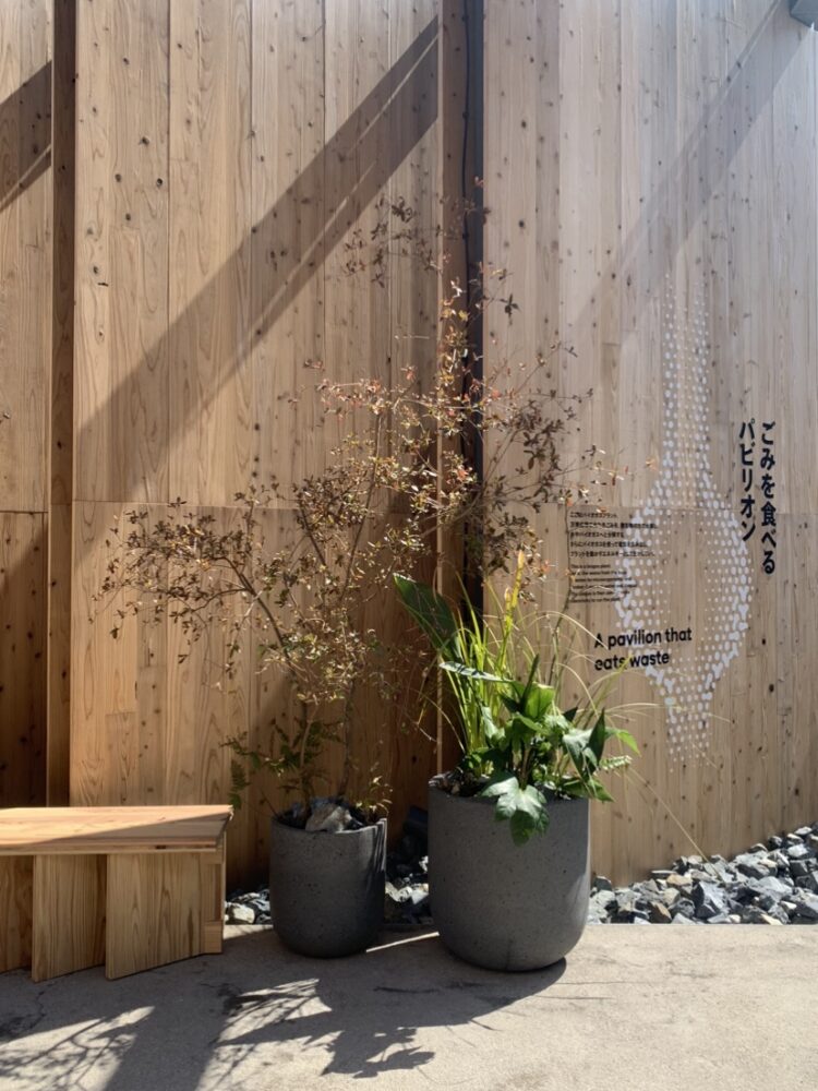 EXPO 2025 大阪・関西万博 日本館 事例画像