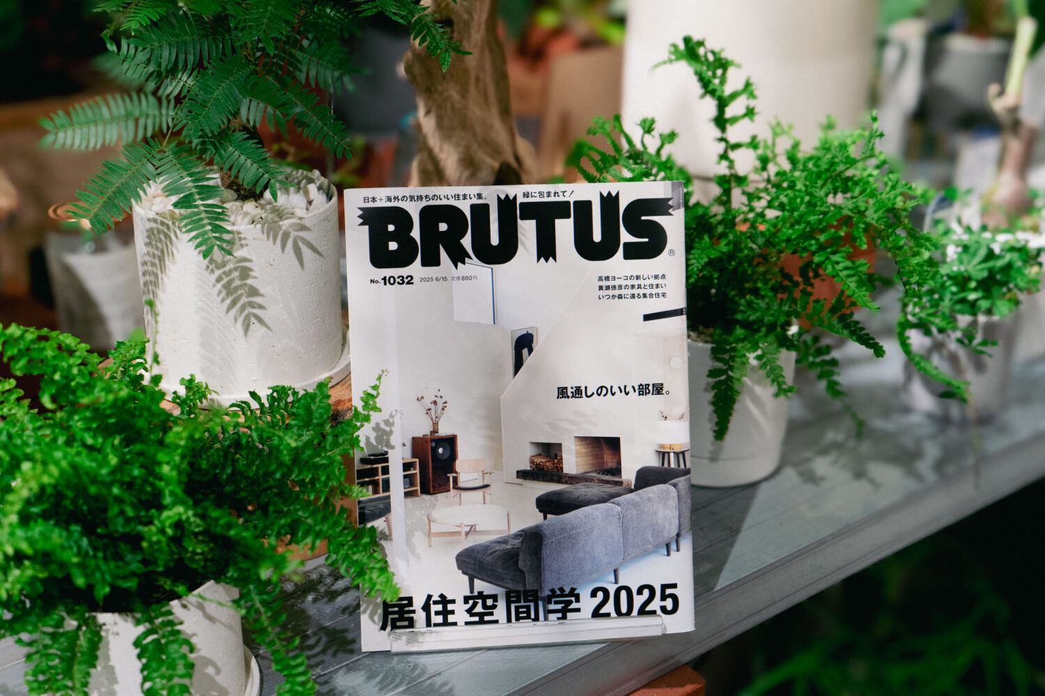 BRUTUS「居住空間学2025」6/15発売号にSOLSO HOME広告が掲載されました イメージ画像