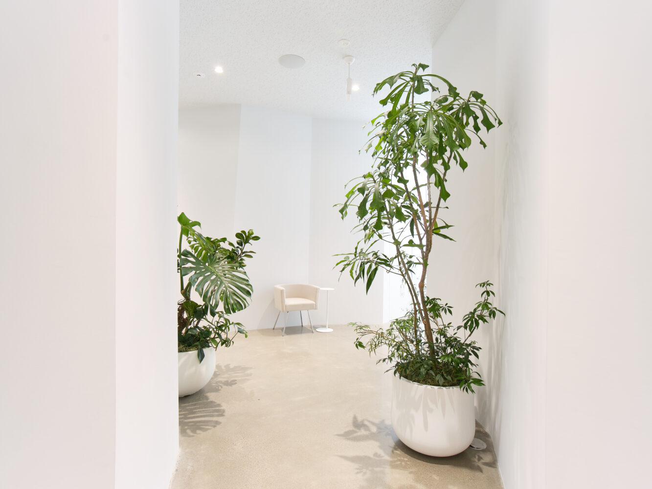 SALON.P 事例画像