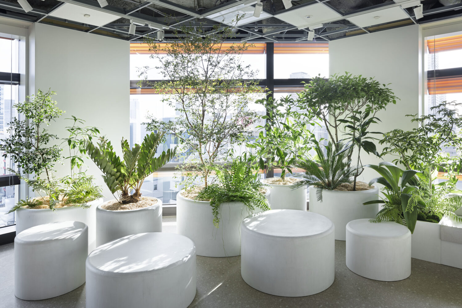 OFFICE.I 事例画像