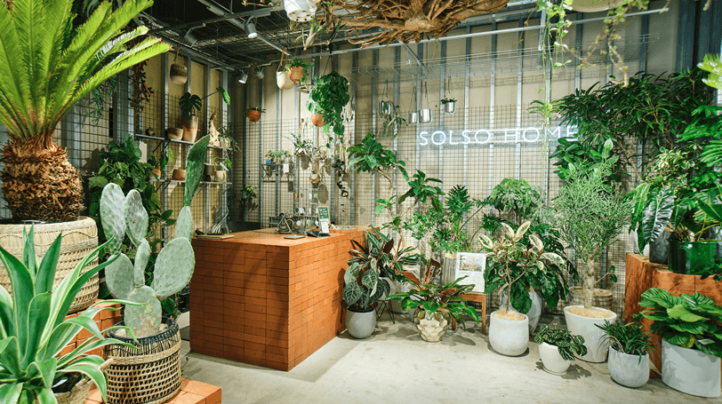 SOLSO HOME | SOLSO architectual plant＆farm